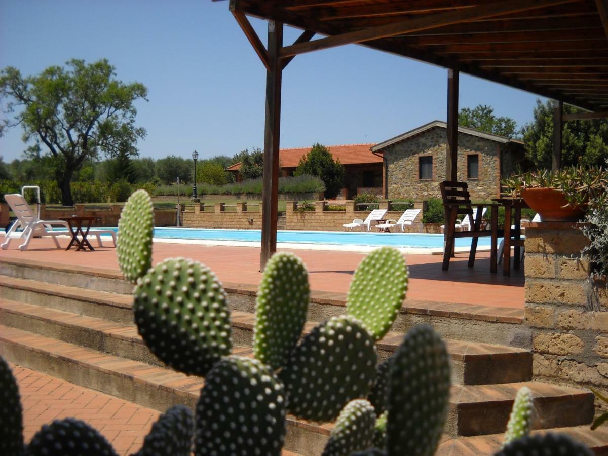 Agriturismo Podere Del Vescovo Montenero d'Orcia Εξωτερικό φωτογραφία