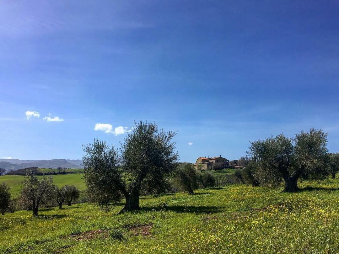 Agriturismo Podere Del Vescovo Montenero d'Orcia Εξωτερικό φωτογραφία